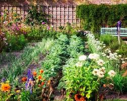 How to Start an Organic Garden: Tips for Beginners